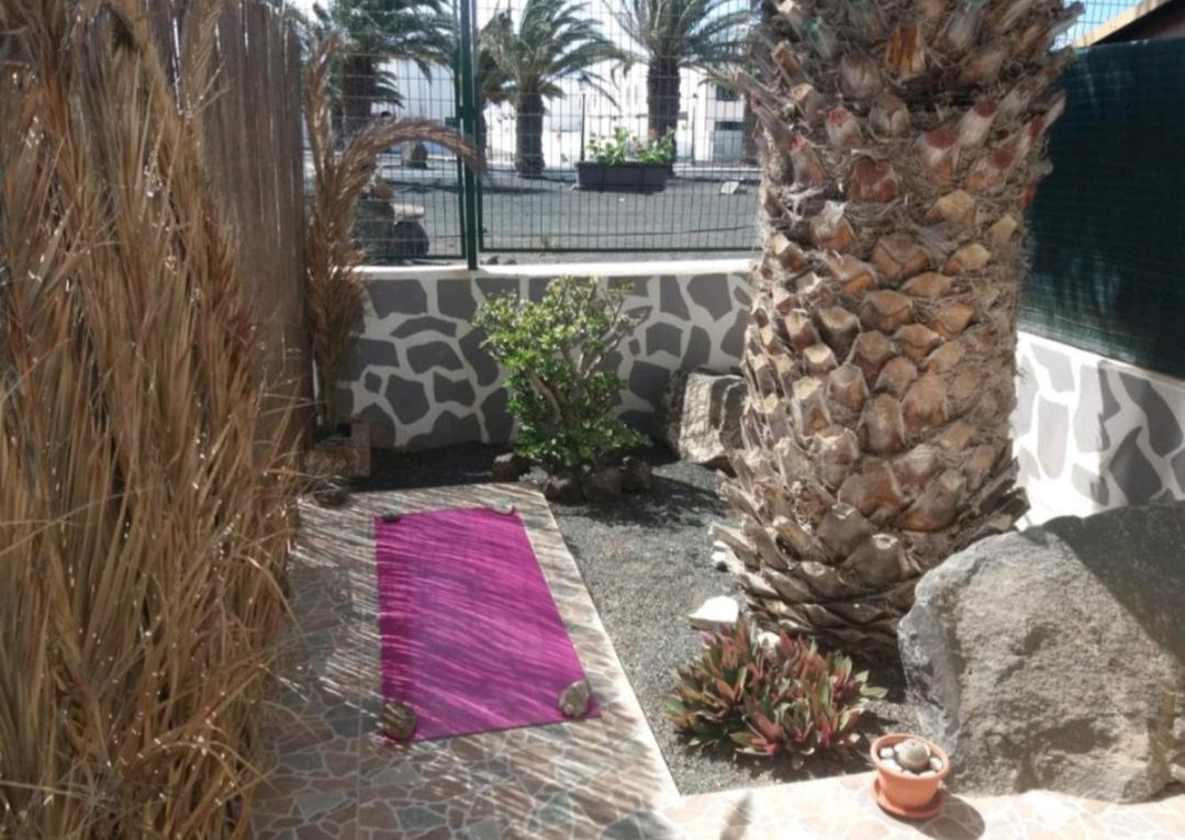Casita Mary Διαμέρισμα Costa Teguise Εξωτερικό φωτογραφία